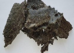 image12